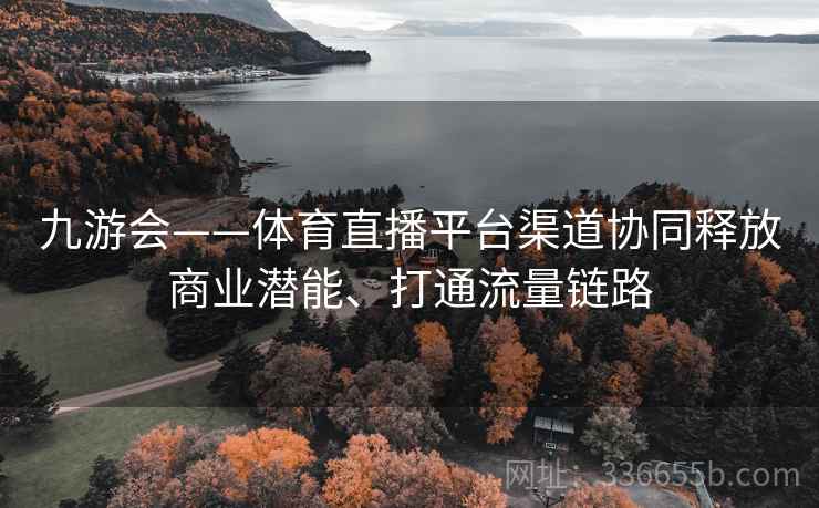 九游会——体育直播平台渠道协同释放商业潜能、打通流量链路